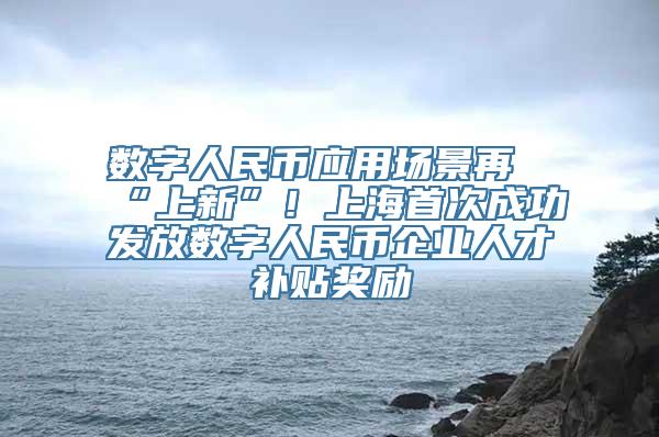 数字人民币应用场景再“上新”！上海首次成功发放数字人民币企业人才补贴奖励