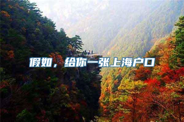 假如，给你一张上海户口