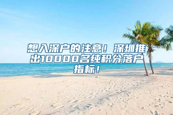 想入深户的注意！深圳推出10000名纯积分落户指标！