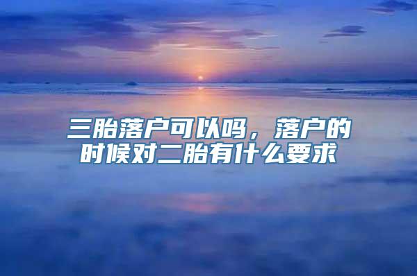 三胎落户可以吗，落户的时候对二胎有什么要求