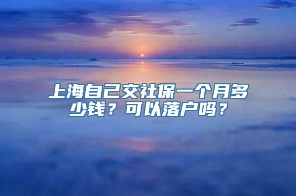 上海自己交社保一个月多少钱？可以落户吗？