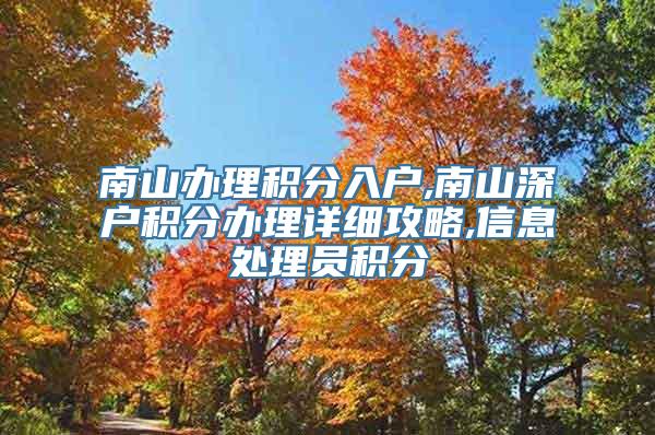 南山办理积分入户,南山深户积分办理详细攻略,信息处理员积分