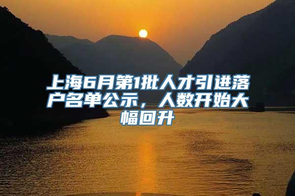 上海6月第1批人才引进落户名单公示，人数开始大幅回升