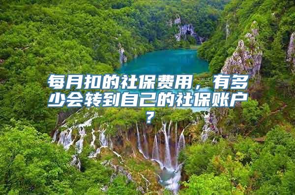 每月扣的社保费用，有多少会转到自己的社保账户？