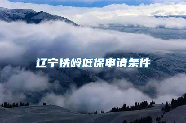 辽宁铁岭低保申请条件