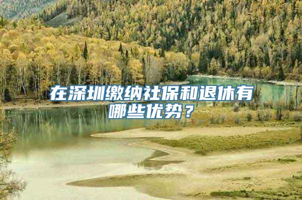 在深圳缴纳社保和退休有哪些优势？