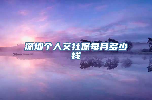 深圳个人交社保每月多少钱