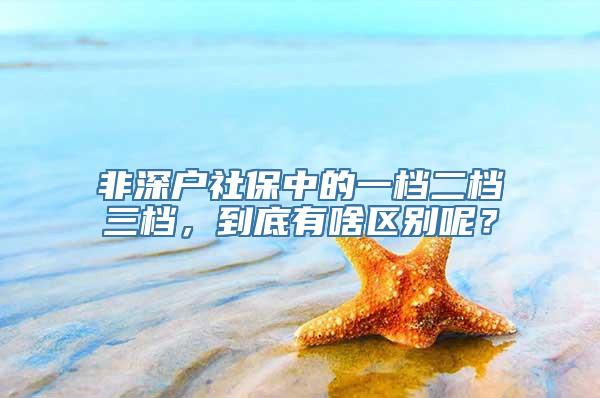 非深户社保中的一档二档三档，到底有啥区别呢？