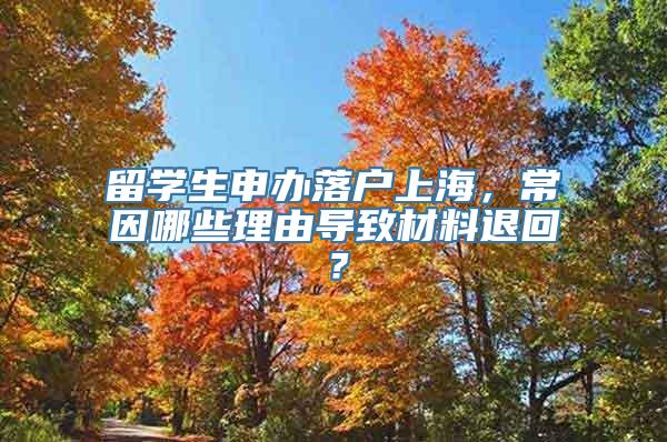 留学生申办落户上海，常因哪些理由导致材料退回？