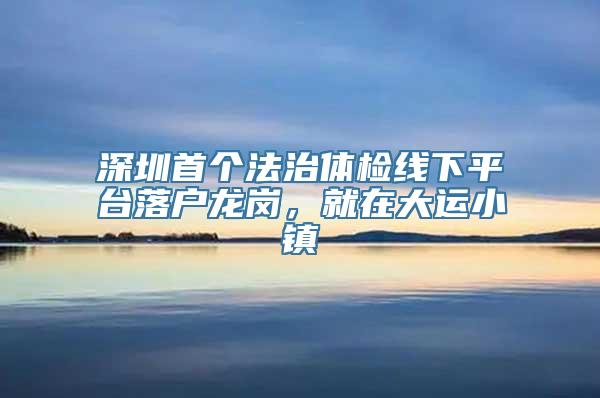 深圳首个法治体检线下平台落户龙岗，就在大运小镇