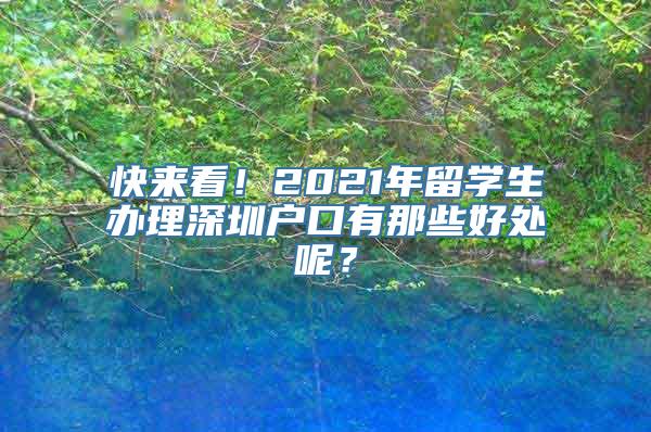 快来看！2021年留学生办理深圳户口有那些好处呢？