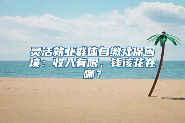 灵活就业群体自缴社保困境：收入有限，钱该花在哪？