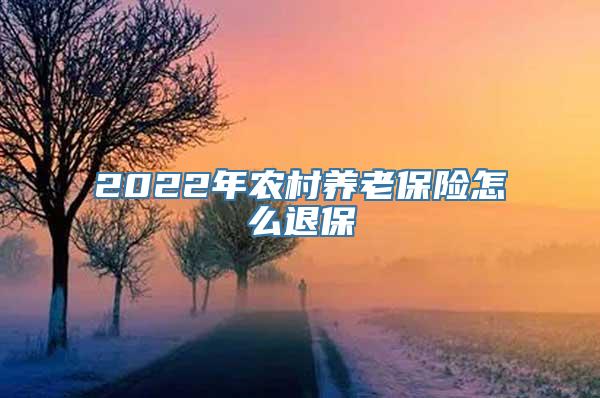 2022年农村养老保险怎么退保