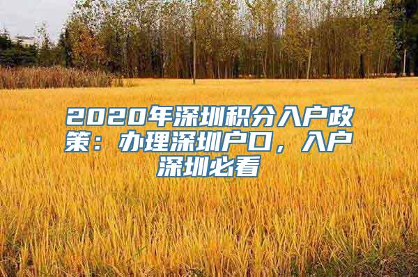 2020年深圳积分入户政策：办理深圳户口，入户深圳必看