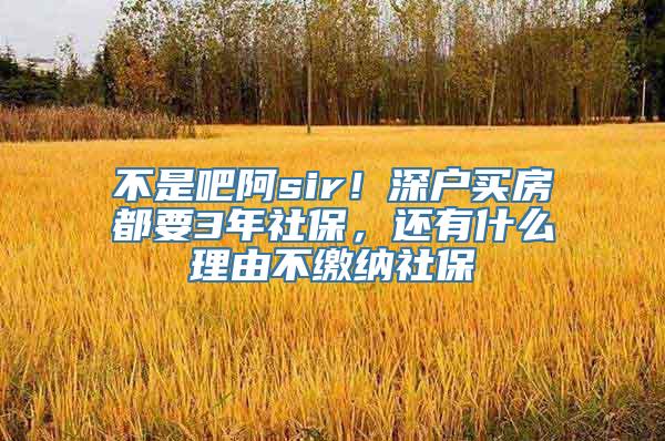 不是吧阿sir！深户买房都要3年社保，还有什么理由不缴纳社保