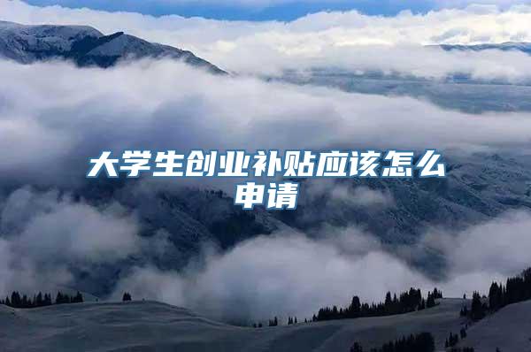 大学生创业补贴应该怎么申请