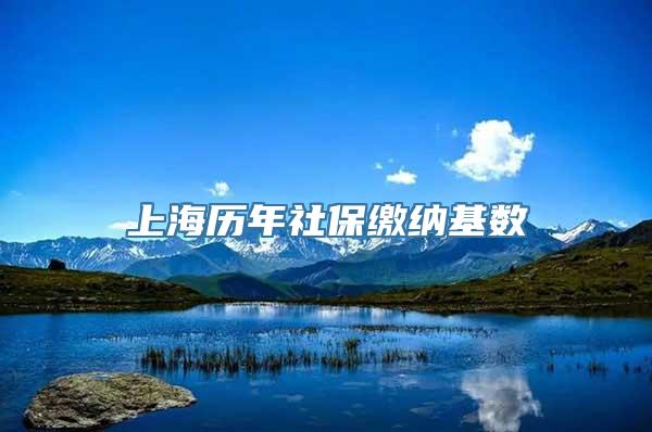 上海历年社保缴纳基数