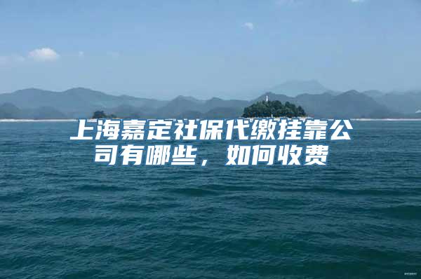 上海嘉定社保代缴挂靠公司有哪些，如何收费