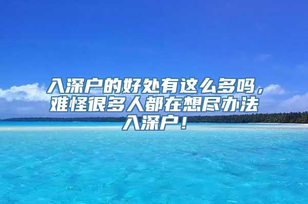 入深户的好处有这么多吗，难怪很多人都在想尽办法入深户！