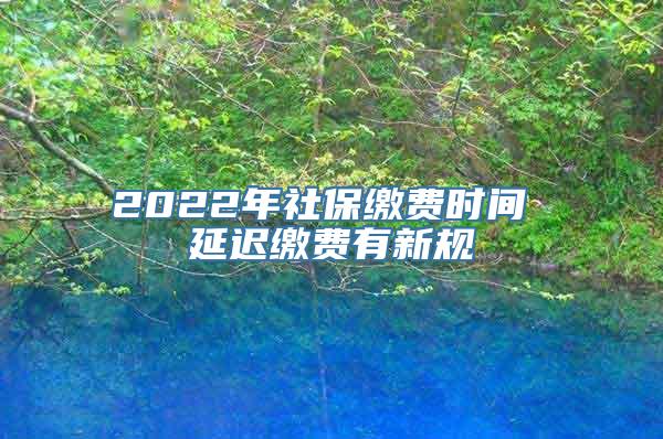 2022年社保缴费时间 延迟缴费有新规