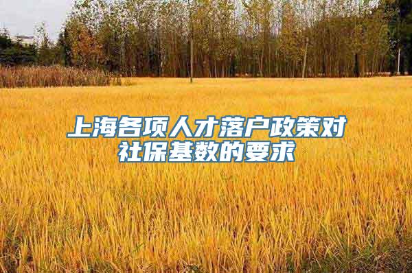 上海各项人才落户政策对社保基数的要求