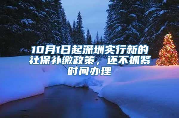 10月1日起深圳实行新的社保补缴政策，还不抓紧时间办理