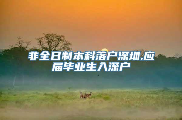 非全日制本科落户深圳,应届毕业生入深户