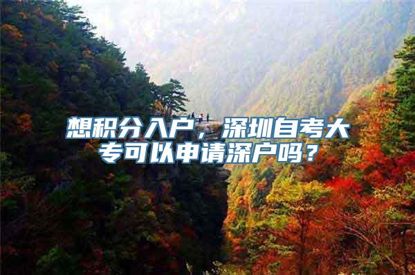 想积分入户，深圳自考大专可以申请深户吗？