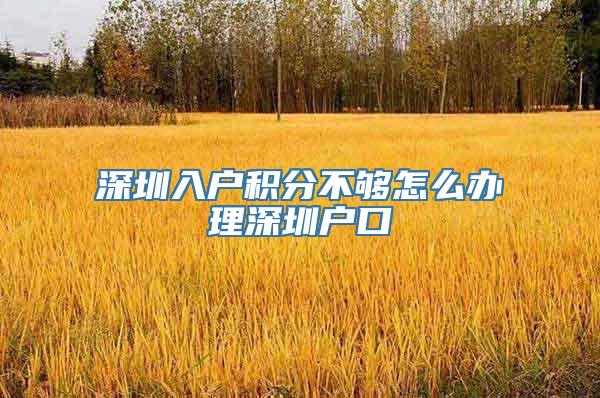 深圳入户积分不够怎么办理深圳户口