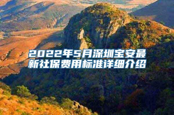 2022年5月深圳宝安最新社保费用标准详细介绍