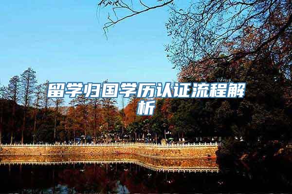留学归国学历认证流程解析