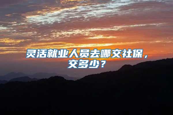 灵活就业人员去哪交社保，交多少？