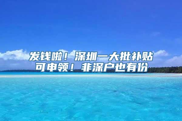 发钱啦！深圳一大批补贴可申领！非深户也有份