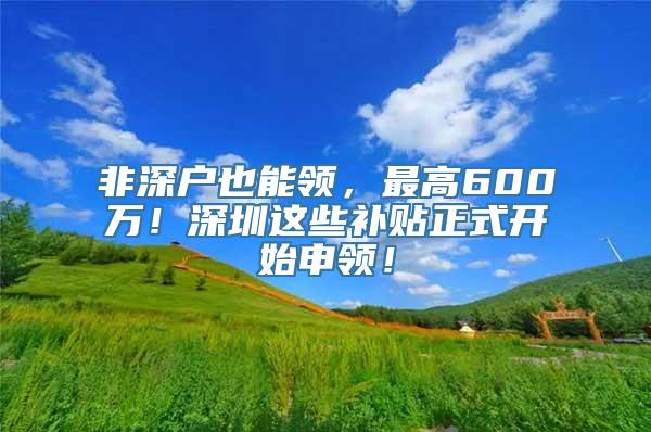 非深户也能领，最高600万！深圳这些补贴正式开始申领！
