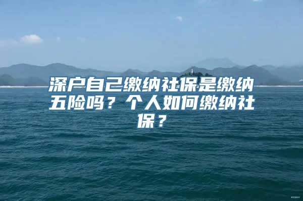 深户自己缴纳社保是缴纳五险吗？个人如何缴纳社保？