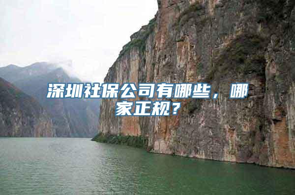 深圳社保公司有哪些，哪家正规？