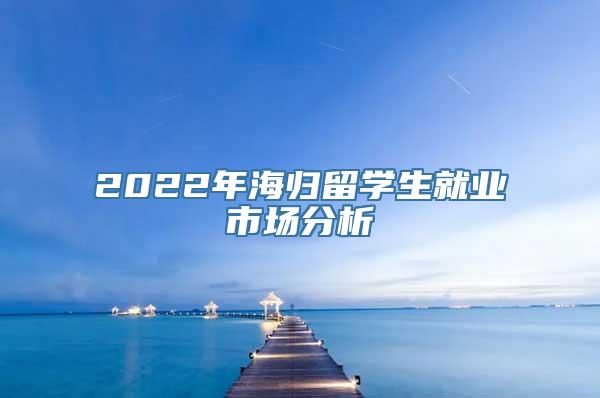 2022年海归留学生就业市场分析