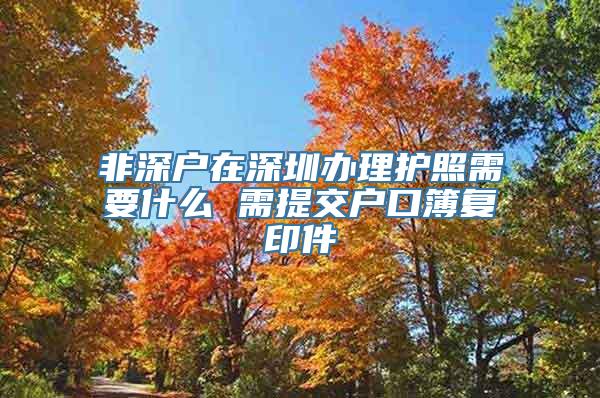 非深户在深圳办理护照需要什么 需提交户口簿复印件