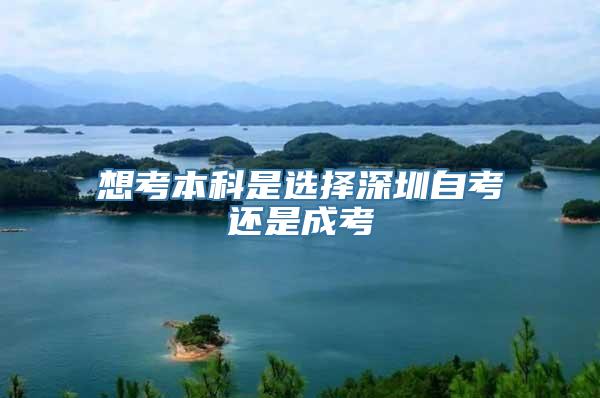 想考本科是选择深圳自考还是成考