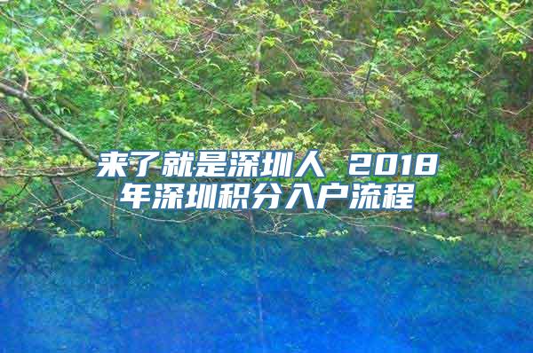 来了就是深圳人 2018年深圳积分入户流程