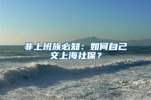 非上班族必知：如何自己交上海社保？