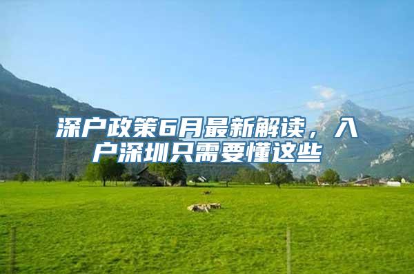 深户政策6月最新解读，入户深圳只需要懂这些