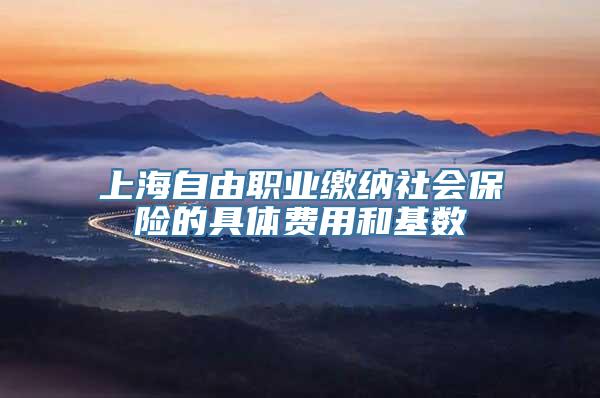 上海自由职业缴纳社会保险的具体费用和基数