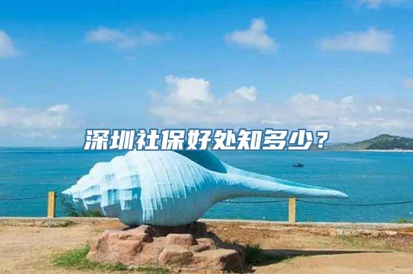 深圳社保好处知多少？