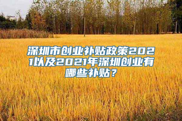 深圳市创业补贴政策2021以及2021年深圳创业有哪些补贴？