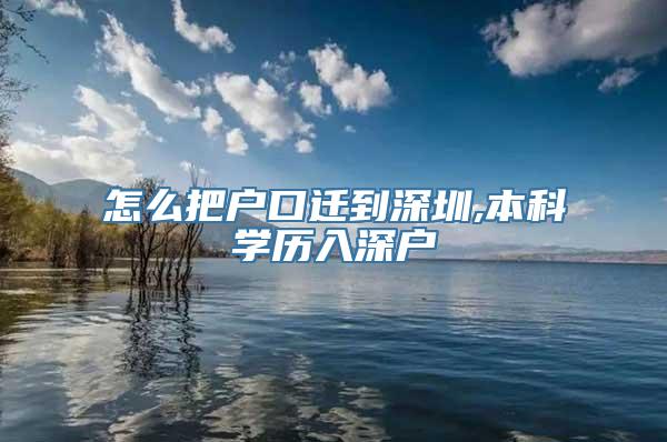 怎么把户口迁到深圳,本科学历入深户