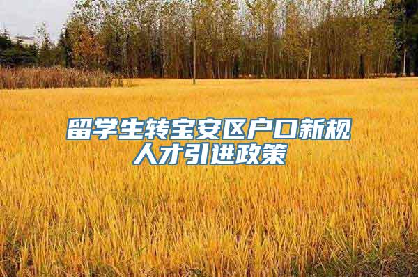 留学生转宝安区户口新规人才引进政策
