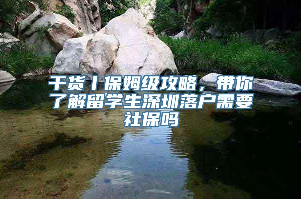 干货丨保姆级攻略，带你了解留学生深圳落户需要社保吗