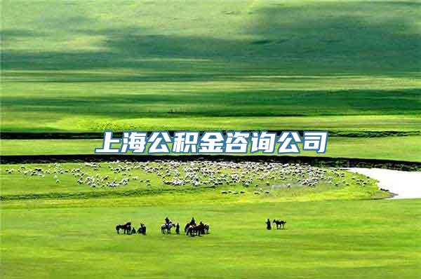上海公积金咨询公司
