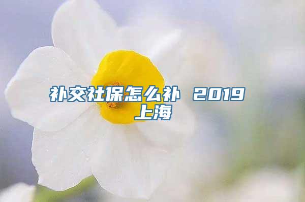 补交社保怎么补 2019 上海